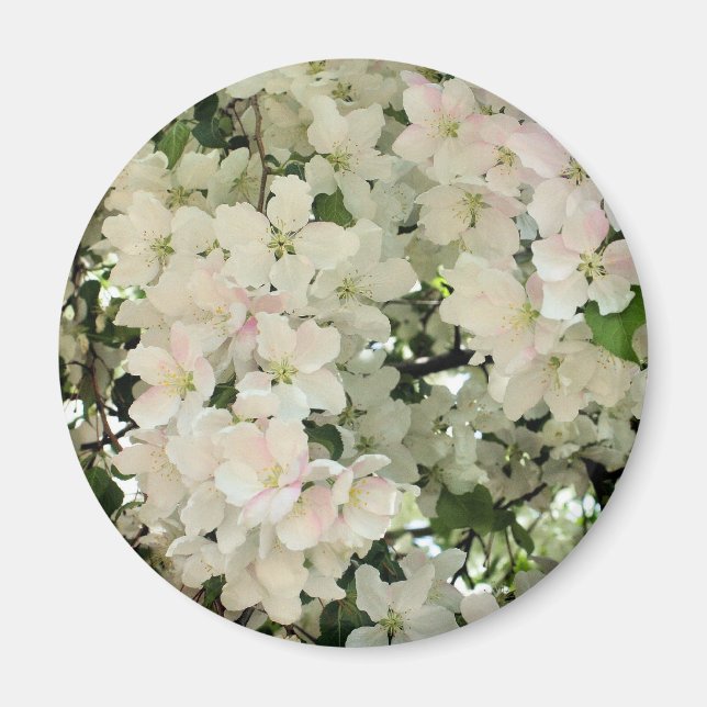 White Spring Blossoms Flower Photography Magnet (Front)