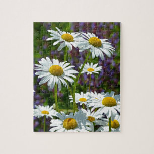 White spring daisies in bloom jigsaw puzzle