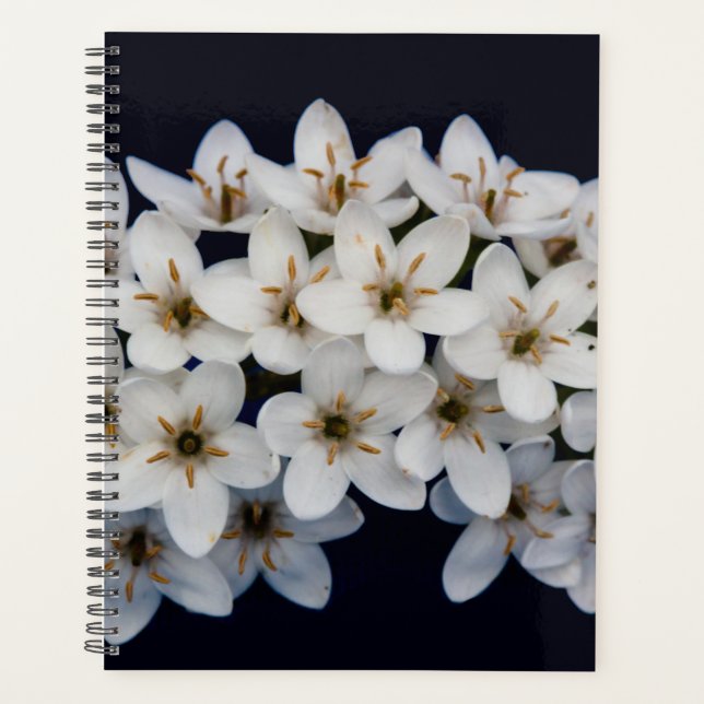White Spring Flowers 2024 Planner (Front)