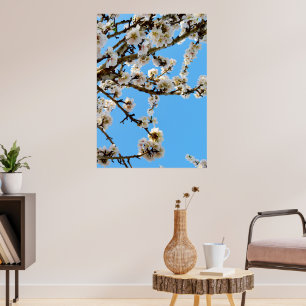 White Spring Love Blossoms, Poster