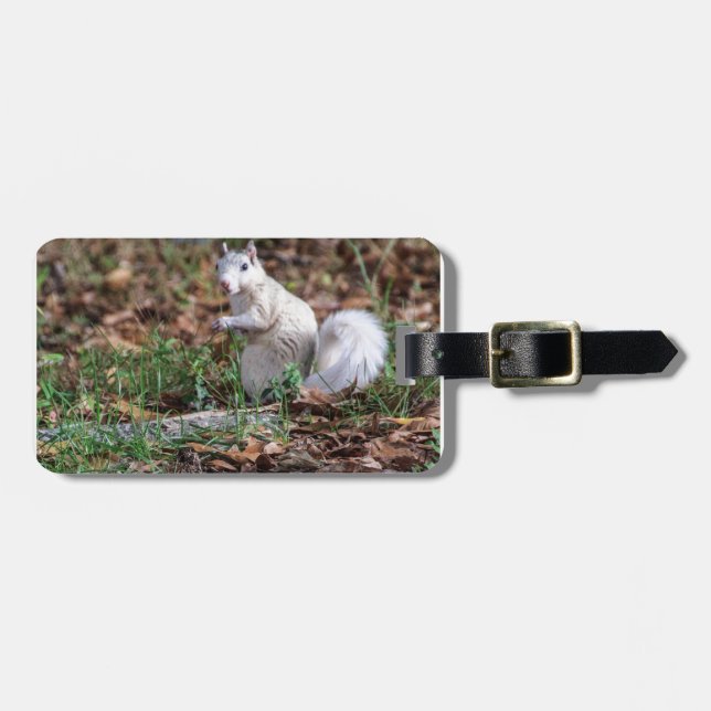 White Squirrel of Brevard Luggage Tag (Front Horizontal)
