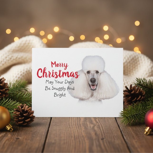White Standard Poodle Christmas Card (White Standard Poodle Christmas Card)