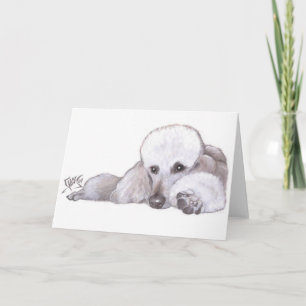 White Standard Poodle in Repose Card
