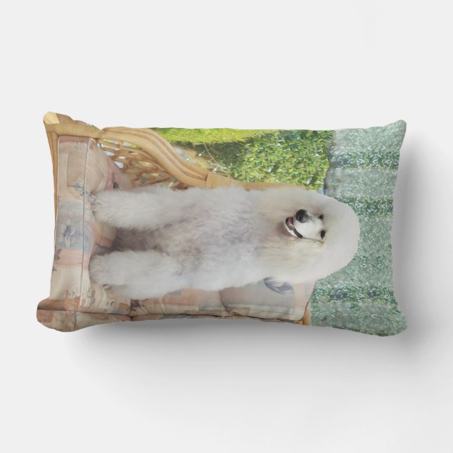 White Standard Poodle Lumbar Cushion (Front)