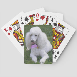 White Standard Poodle Playing Cards