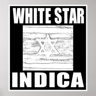 WHITE STAR INDICA POSTER