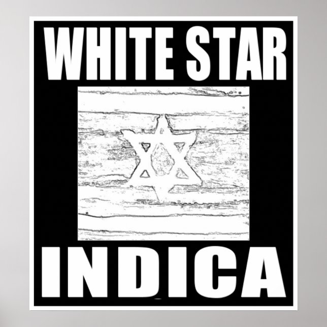 WHITE STAR INDICA POSTER (Front)