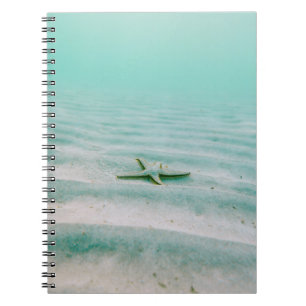 White starfish on sand underwater in the morning notebook