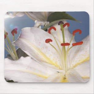 White stargazer lilies (Lilium orientalis), Mouse Pad