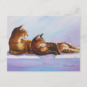 White Steps Tabbies Postcard