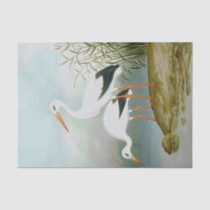 White stork, Bird Illustrations Tissue Paper