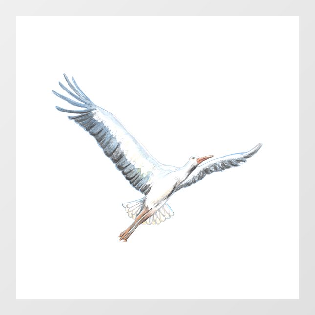White stork flying  (Sheet)