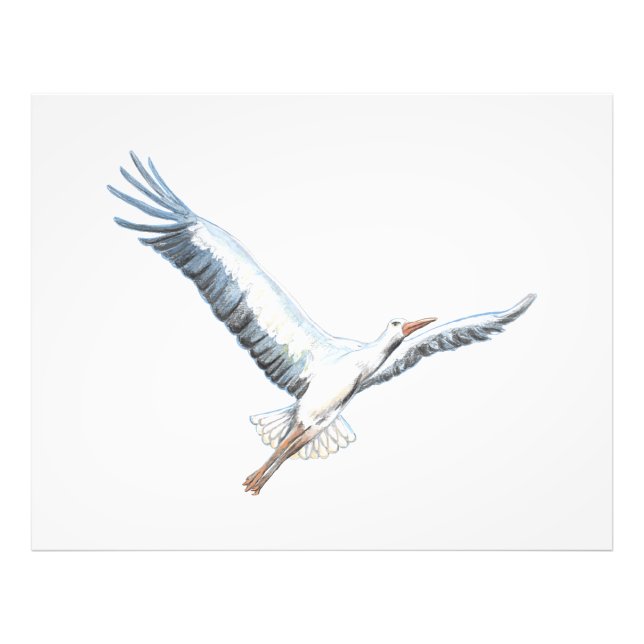 White stork flying   photo print (Front)
