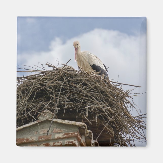 white stork in the nest magnet (Front)