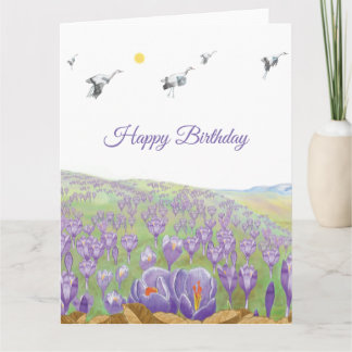 White Storks flying over Crocus Hill Card