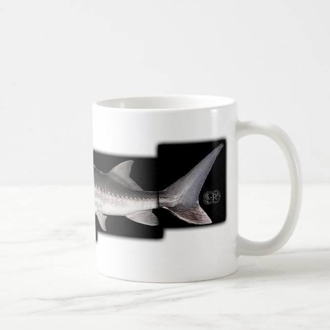 White Sturgeon - Acipenser transmontanus Coffee Mug (Right)