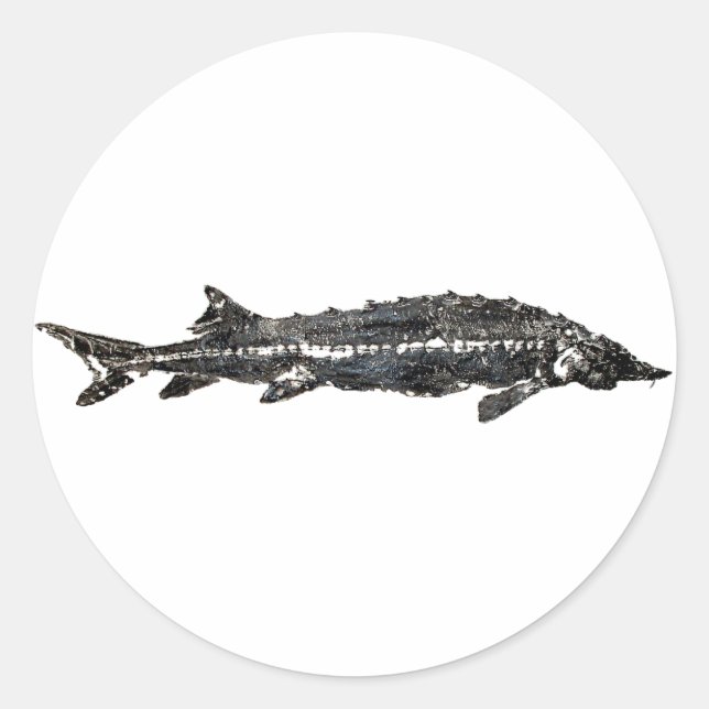 White Sturgeon Gyotaku-40-Item Classic Round Sticker (Front)