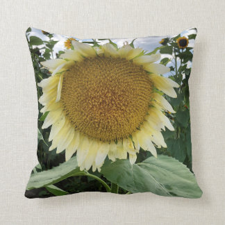 White Sunflower Cushion