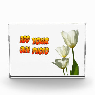 White Sunny Tulips Photo Block