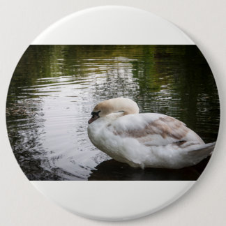 White swan 6 cm round badge