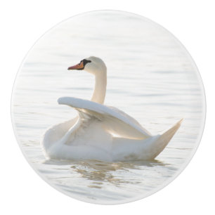 White swan Cygnus Ceramic Knob