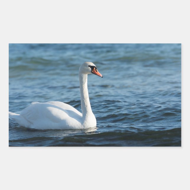 White swan Cygnus Rectangular Sticker (Front)