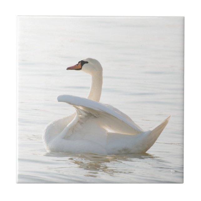White swan Cygnus Tile (Front)