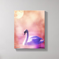 White Swan floating on a misty lake