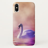 White Swan floating on a misty lake