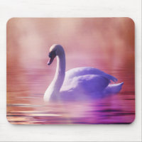 White Swan floating on a misty lake