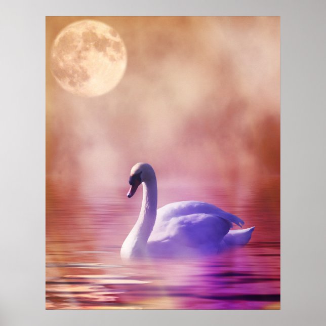 White Swan floating on a misty lake Poster (Front)