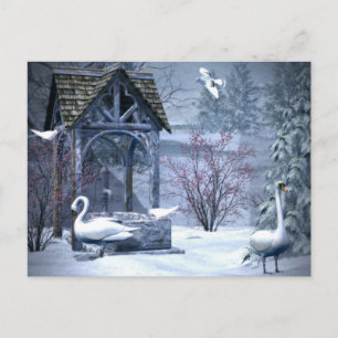 White Swan In Snowing Christmas Winter Postcard