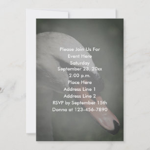 White Swan Nature Invitation