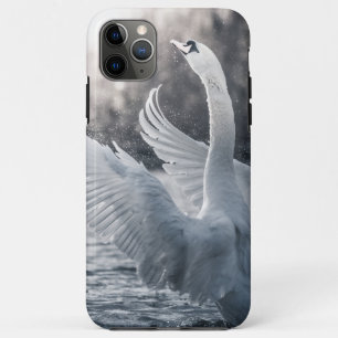 White Swan Nature Photo Case-Mate iPhone Case