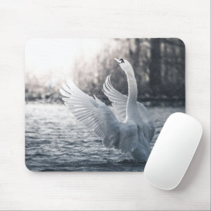 White Swan Nature Photograph Mouse Pad