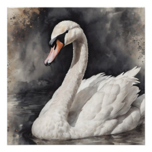 White Swan no 67 Glossy Poster
