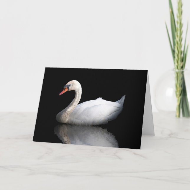 White swan on black holiday card (Front)