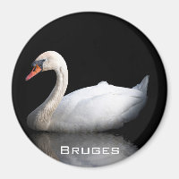 White swan on black