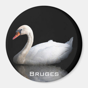 White swan on black magnet