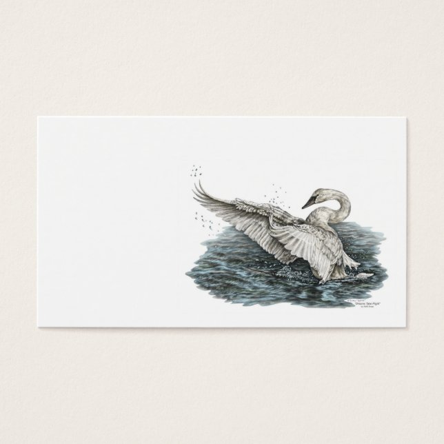White Swan on Water (Front)