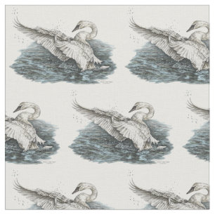 White Swan on Water Drawing by Kelli Swan Fabric