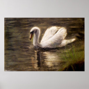 White Swan Painting Poster