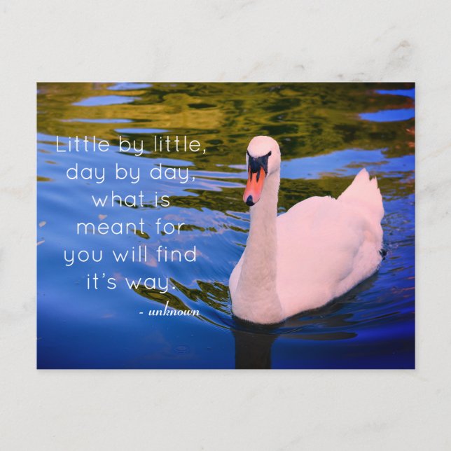 White Swan Photo with Motivational Quote Postcard (Front)