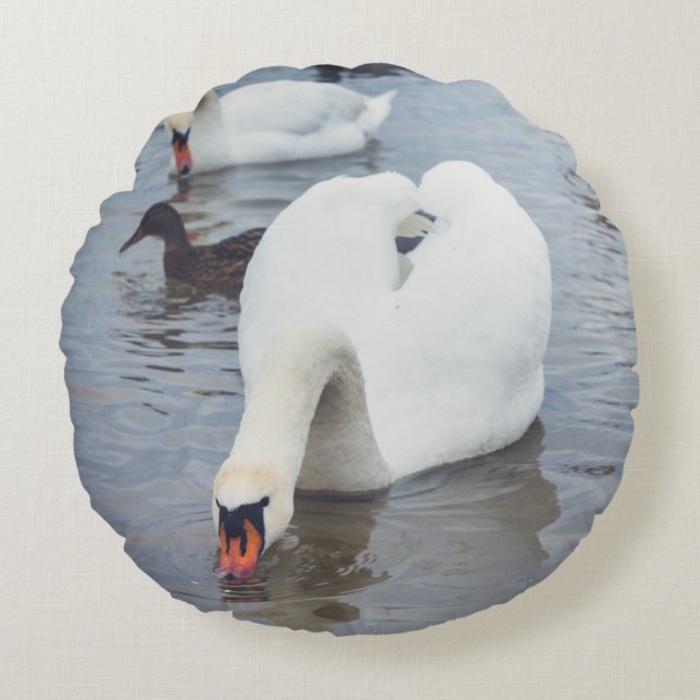 White Swan  Round Cushion (Front)