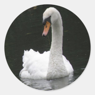 White Swan Stickers