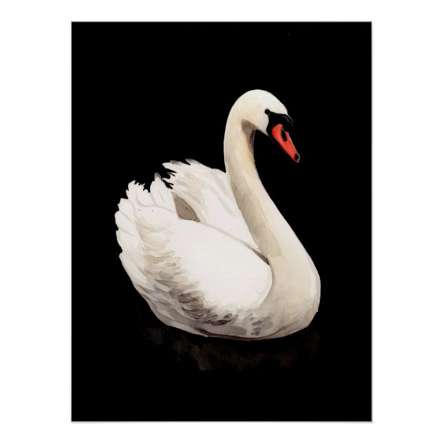 White Swan Vintage Art Poster (Front)