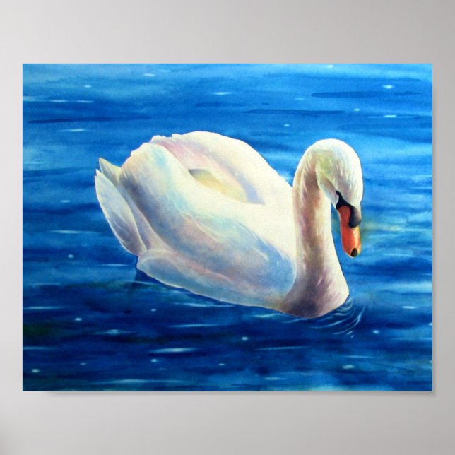 White swan watercolor painting, waterfowl, bird poster (Front)
