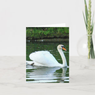 White Swan/ "You Exude Gracefulness & Beauty" birt Card