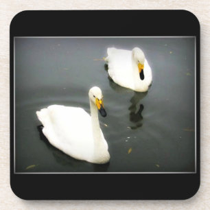 White Swans Black Water Coaster