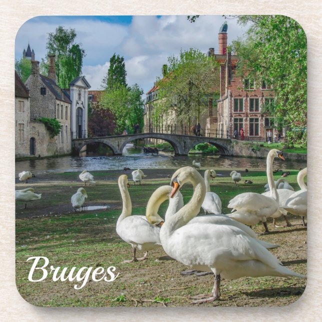 White swans in Bruges downtown Coaster (Front)